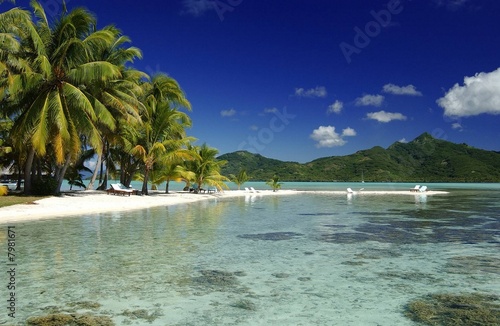 beach of seychelles