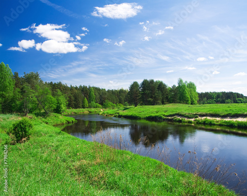 Fototapeta Naklejka Na Ścianę i Meble -  beautiful summer landscape. river and meadow