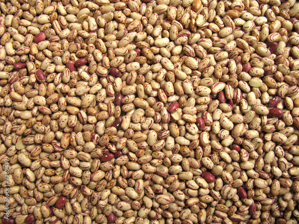 Obraz premium Bean pinto painted beans