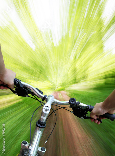 Картината върху платно VTT dans la forêt