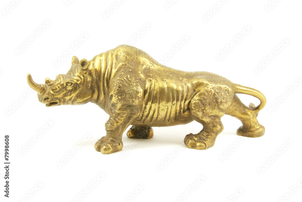 Fototapeta premium Rhino