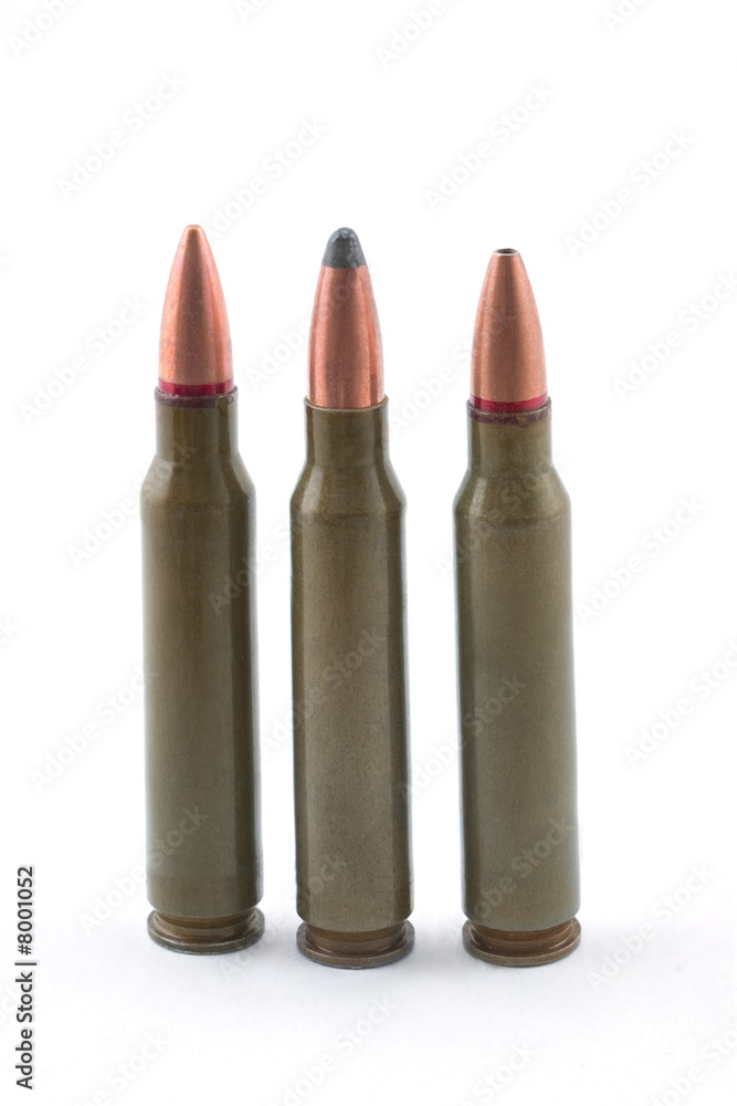 The hunting cartridges The hunting cartridges