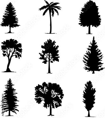 tree silhouette