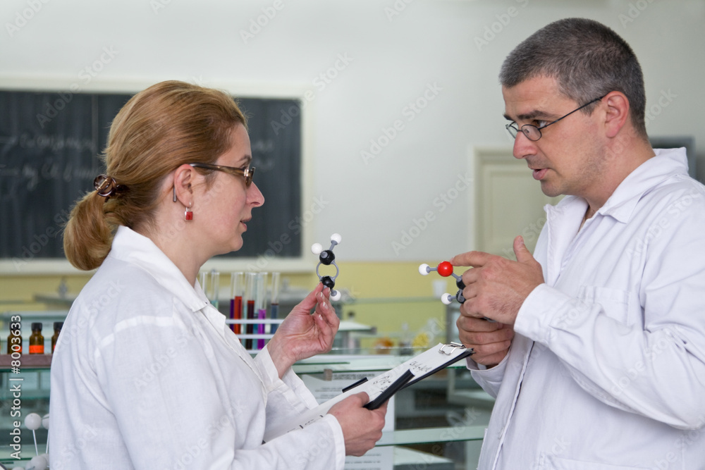 Fototapeta premium Discussing the experiment