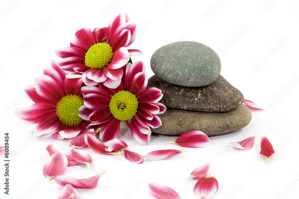 Fotografie zen stones