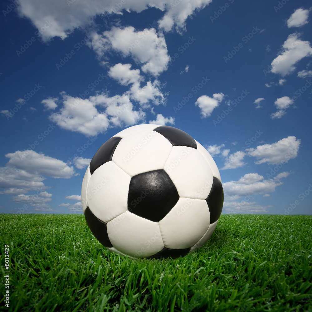 Fototapeta premium soccer ball on grass