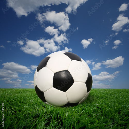 soccer ball on grass © Mikael Damkier