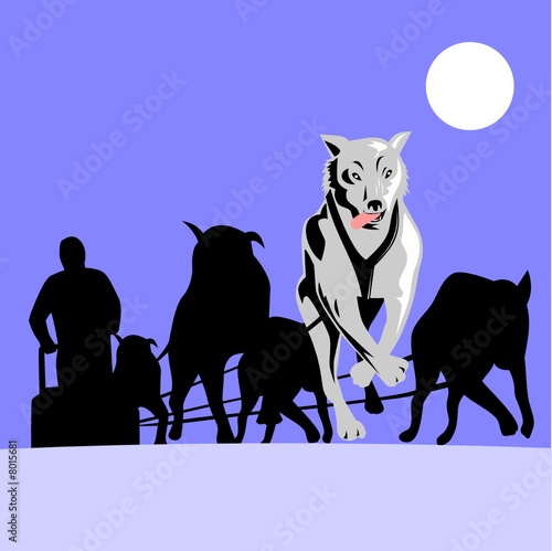 Dogs pulling a sled
