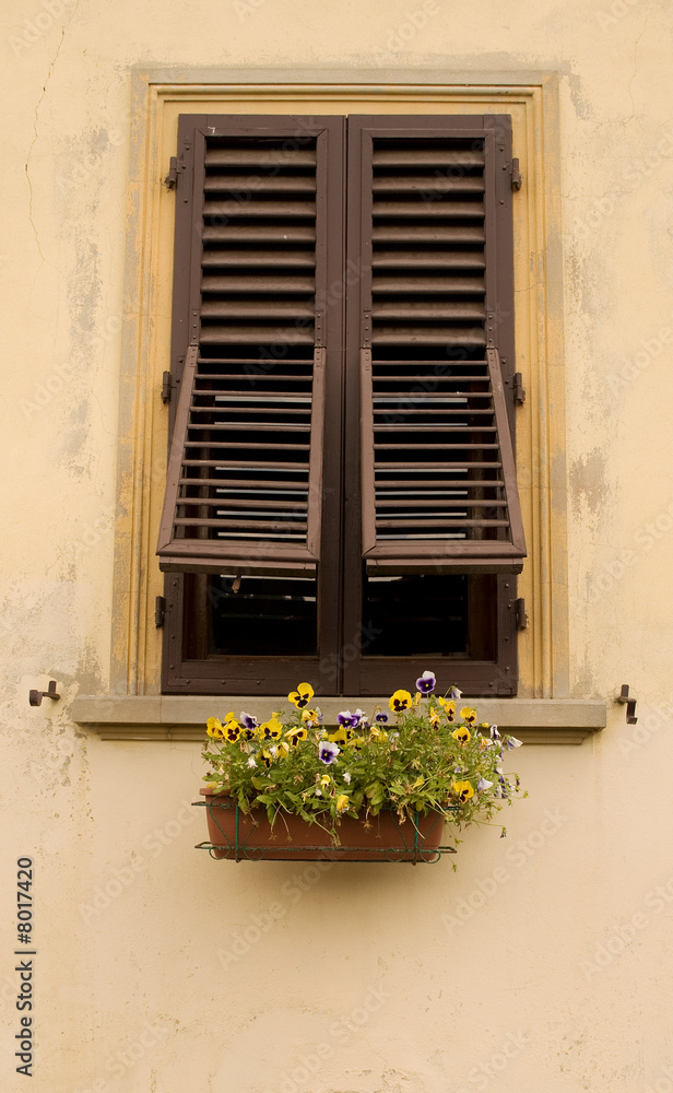 Flower Window