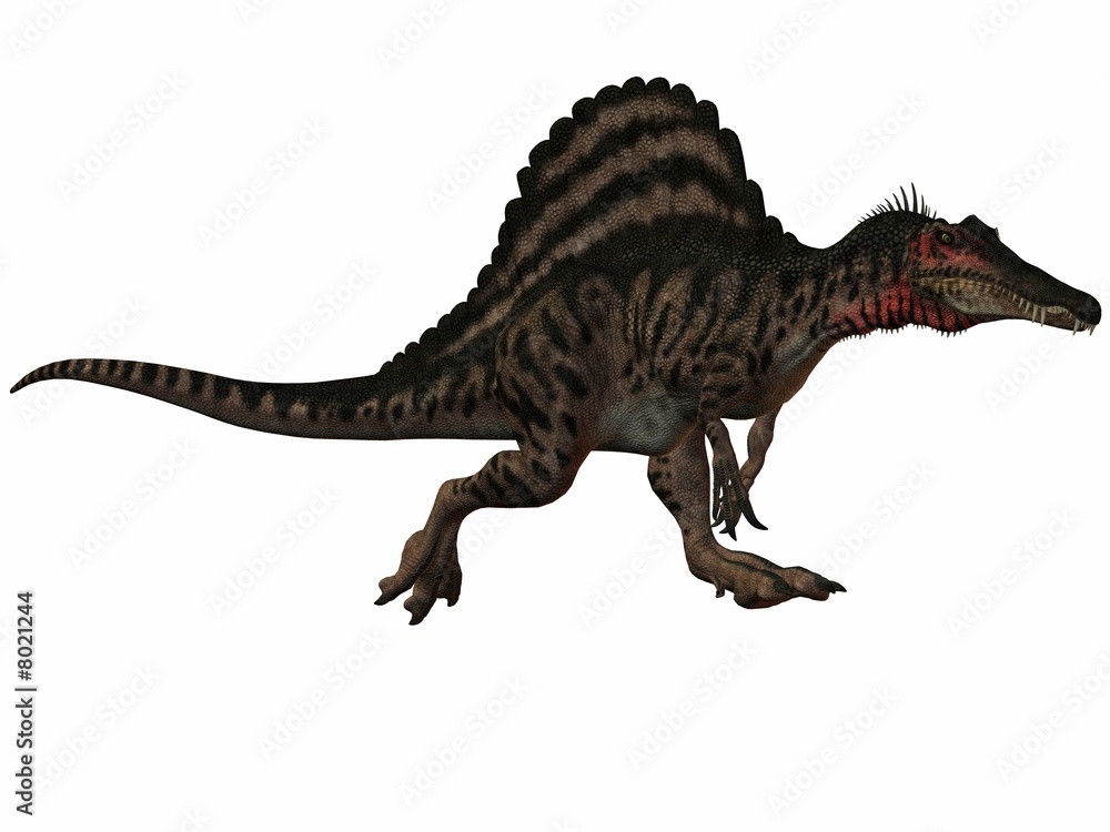 Fototapeta premium Spinosaurus-3D Dinosaurier