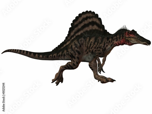 Spinosaurus-3D Dinosaurier © Andreas Meyer