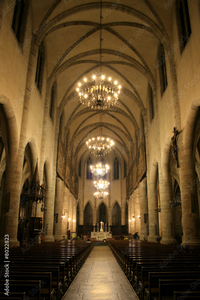 Cathedrale de Mende, France