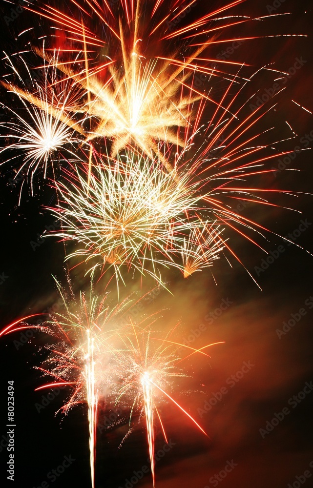 Fototapeta premium Firework