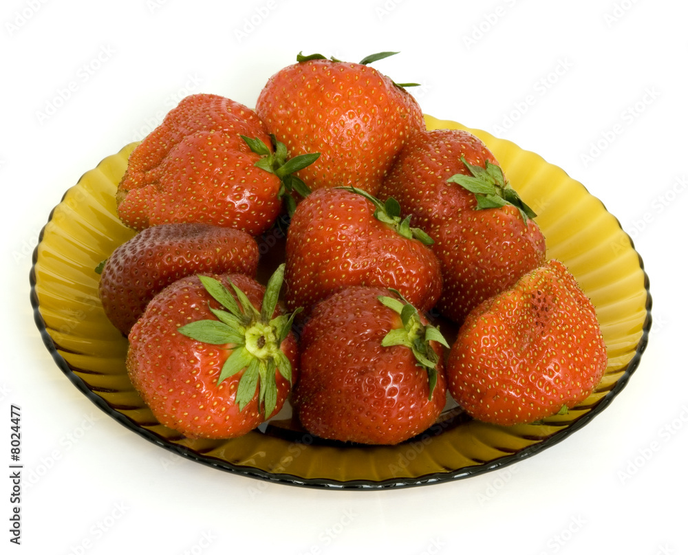 garden strawberry garden strawberry