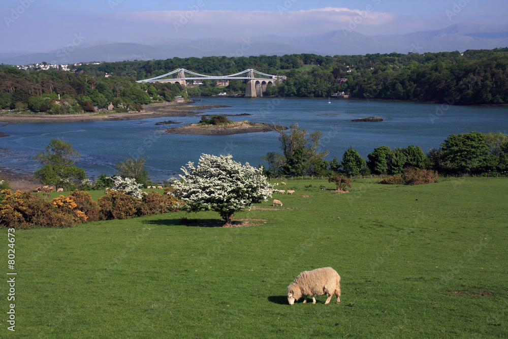 Obraz premium Menai Bridge