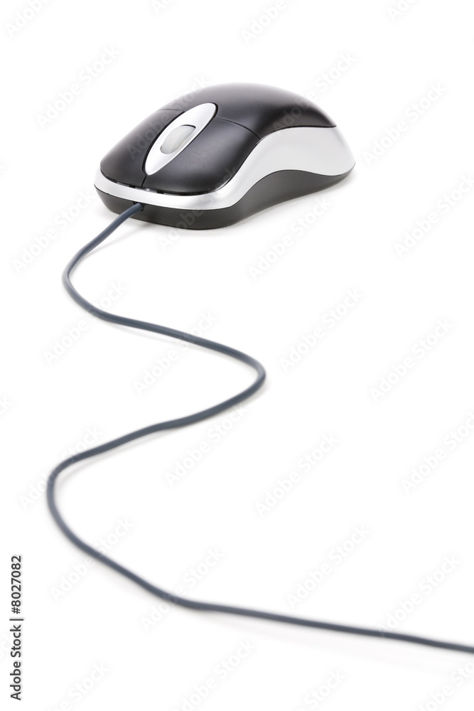 Computer Mouse Computer Mouse