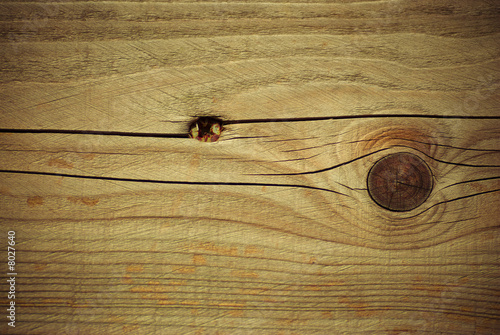 série matériaux - panneau de bois en pin traité 