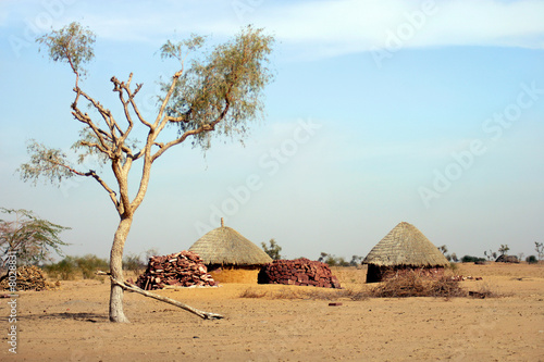 Little village in Thar desert, Jaisalmer, Rajasthan, India
