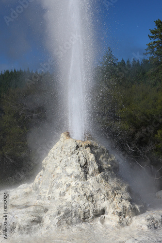 The  White Lady  Geyser  New Zealand