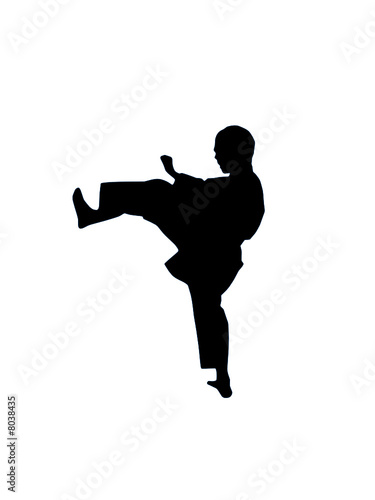 Karate Vector Sport 