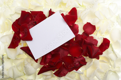 gift card on roses petals