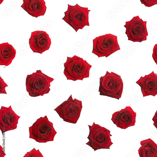seemless roses background