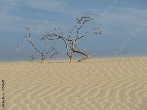 dune et vent