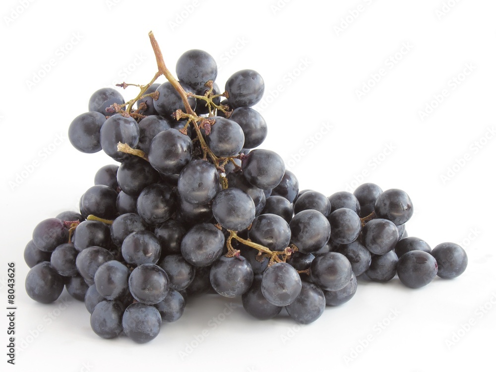 cluster of black grapes cluster of black grapes