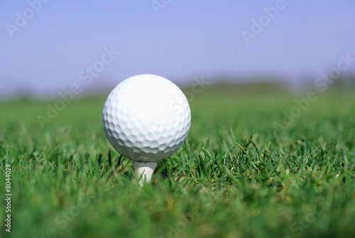 Golf ball in tall green grass