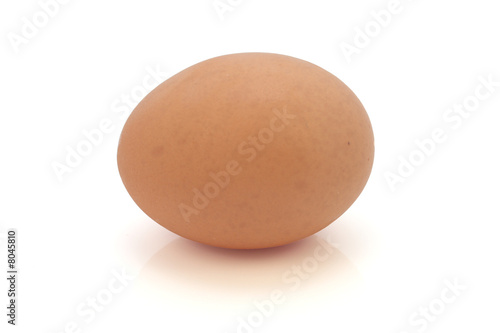 Single Hen's Egg