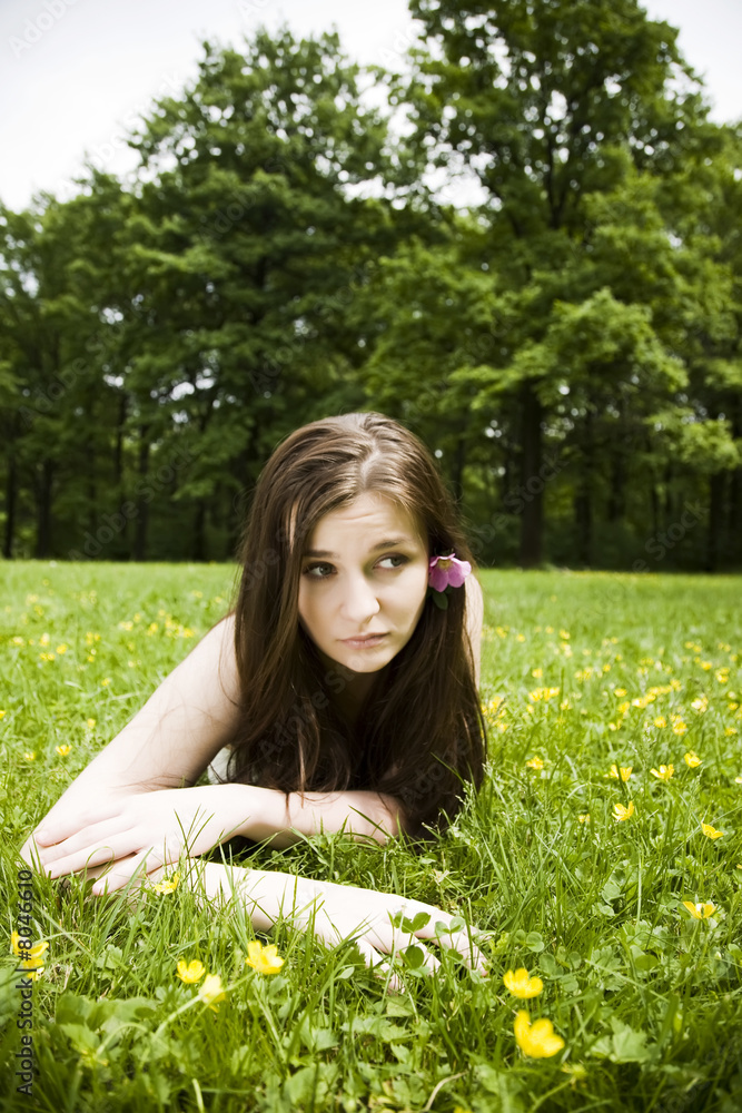 On The Grass On The Grass