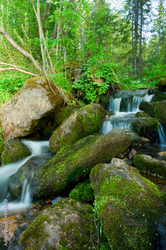 Small falls in a wood. Land...