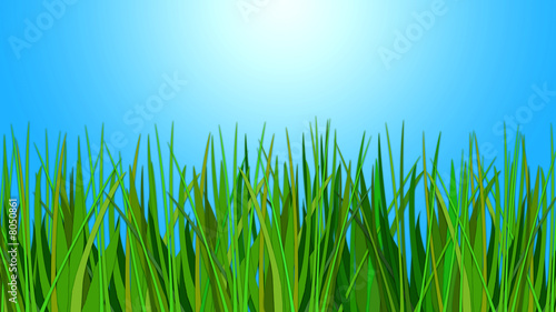 grass 2