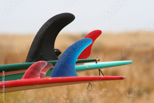 Fins