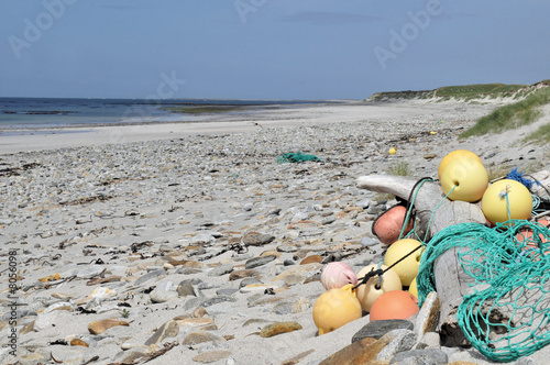 DRIFTWOOD