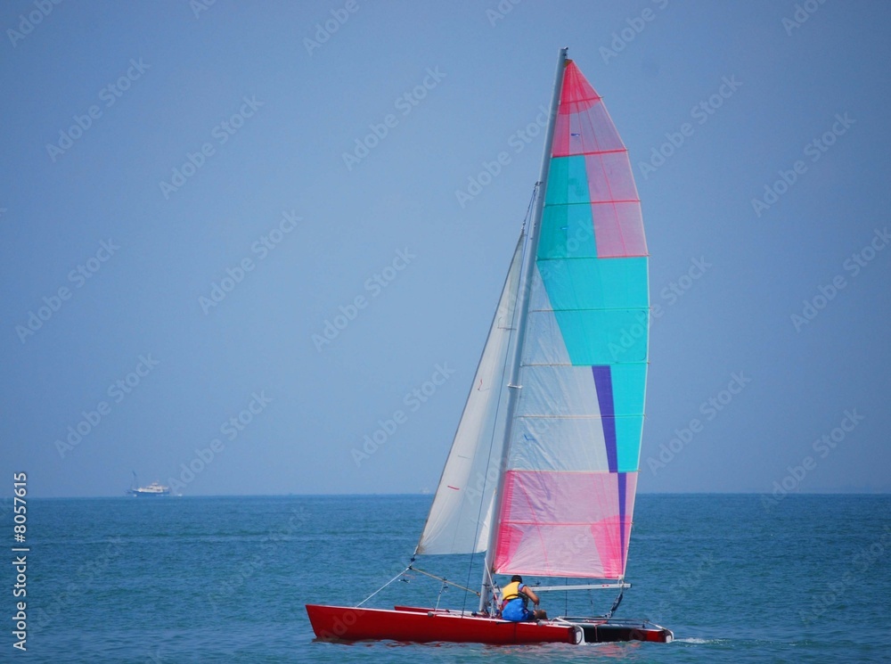 Naklejka premium Sail Catamaran on Biscayne Bay