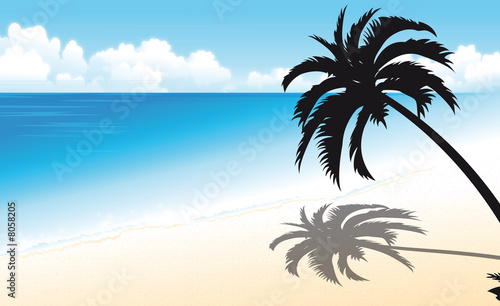 plage tropicale