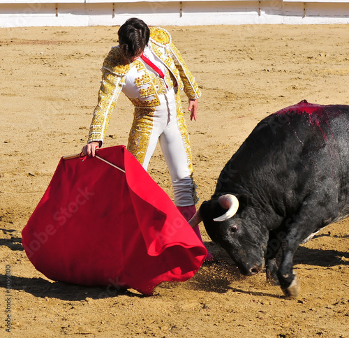 Matador & Bull photo