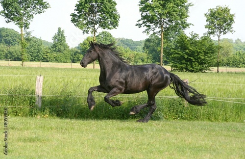 Friese