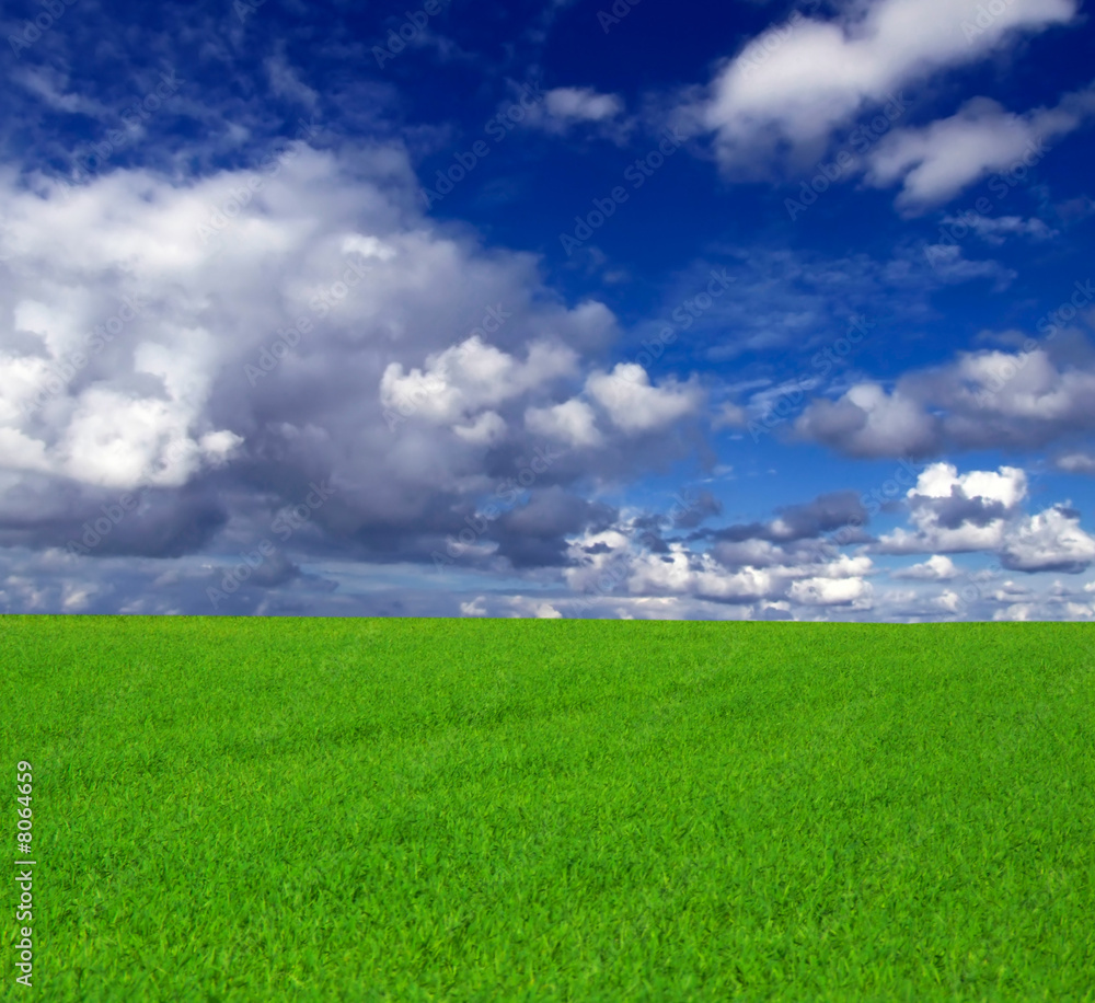 Obraz premium Dreams of Nature