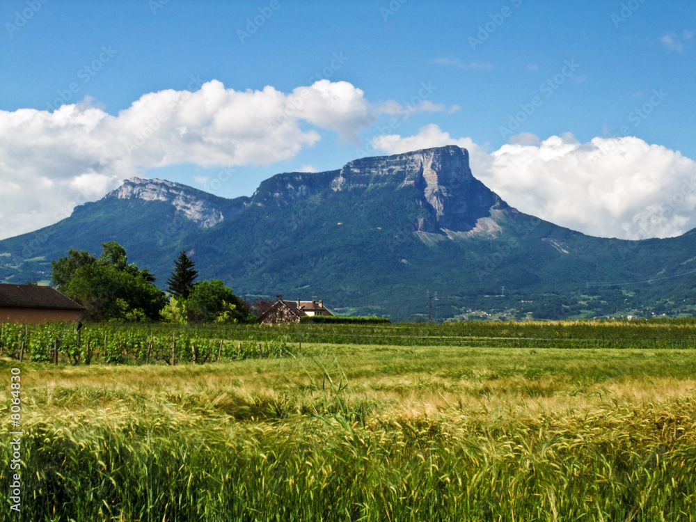 Naklejka premium Champs et montagne en Savoie