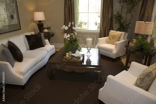 Comfortable luxury home living room.