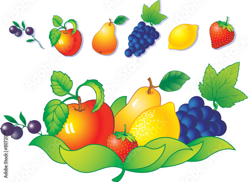 Fruit and berry Vector