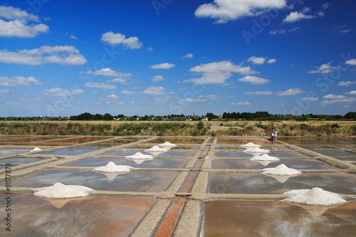 marais salant de Guerande 7 photo