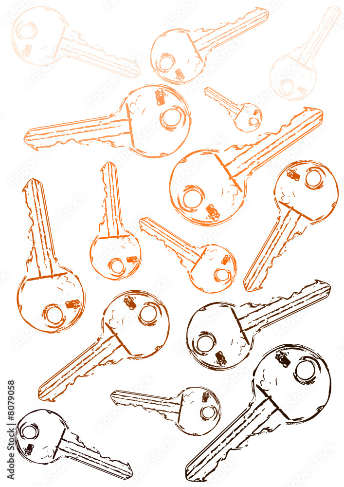 Obraz premium key, chiavi