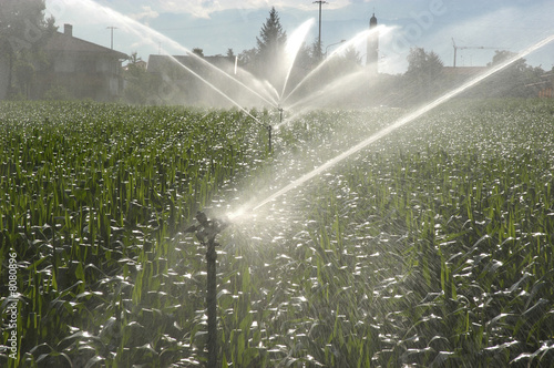 Irrigazione di un campo - Friuli photo