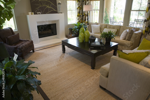 Contemporary living room with a fireplace and stylish decor.
