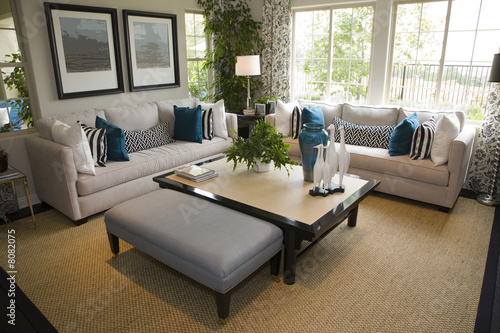 Luxury home living room with contemporary decor.