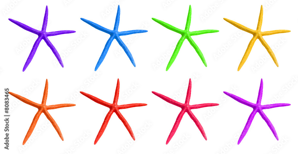 Fototapeta premium Rainbow color sea stars