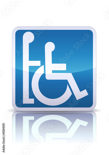 Panneau accompagnateur pour handicapés (reflet métal)